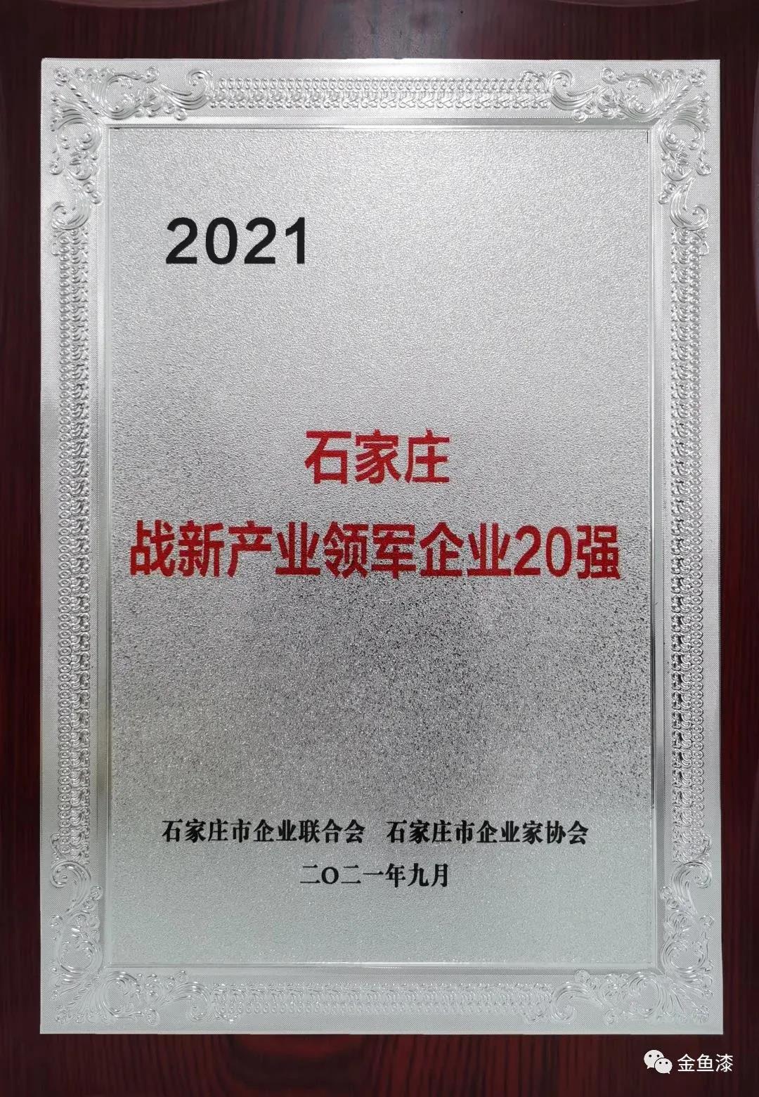 太阳成集团tyc122cc入选“2021石家庄企业100强”名单、“2021石家庄战略性新兴产业领军企业20强”名单(图5)